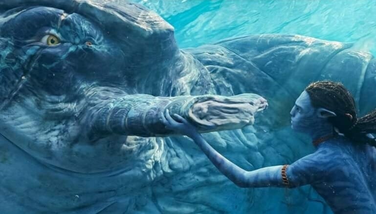 Lo'ak meets Payakan the exiled young Tulkun male bull whale for the first time and sees that he has a missing fin cut off from human amrita hunters in AVATAR:THE WAY OF WATER.