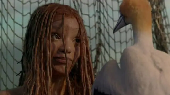 Halle Bailey stars as Princess Ariel next to Scuttle the northern gannet bird voiced by Awkwafina in the 2023 live-action Disney remake of THE LITTLE MERMAID.