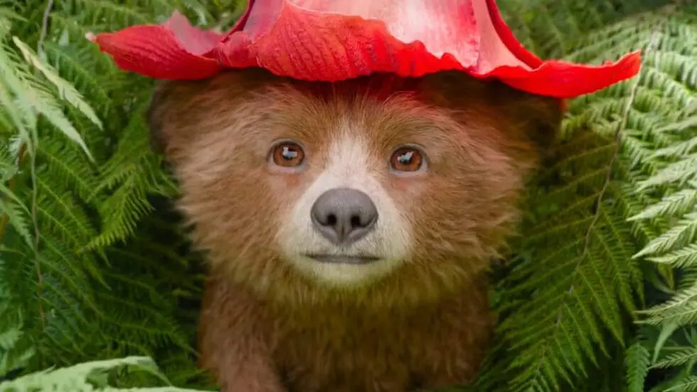 Paddington looks extremely adorable as a small baby cub wearing a large red flower as a hat in the movie sequel PADDINGTON IN PERU. 