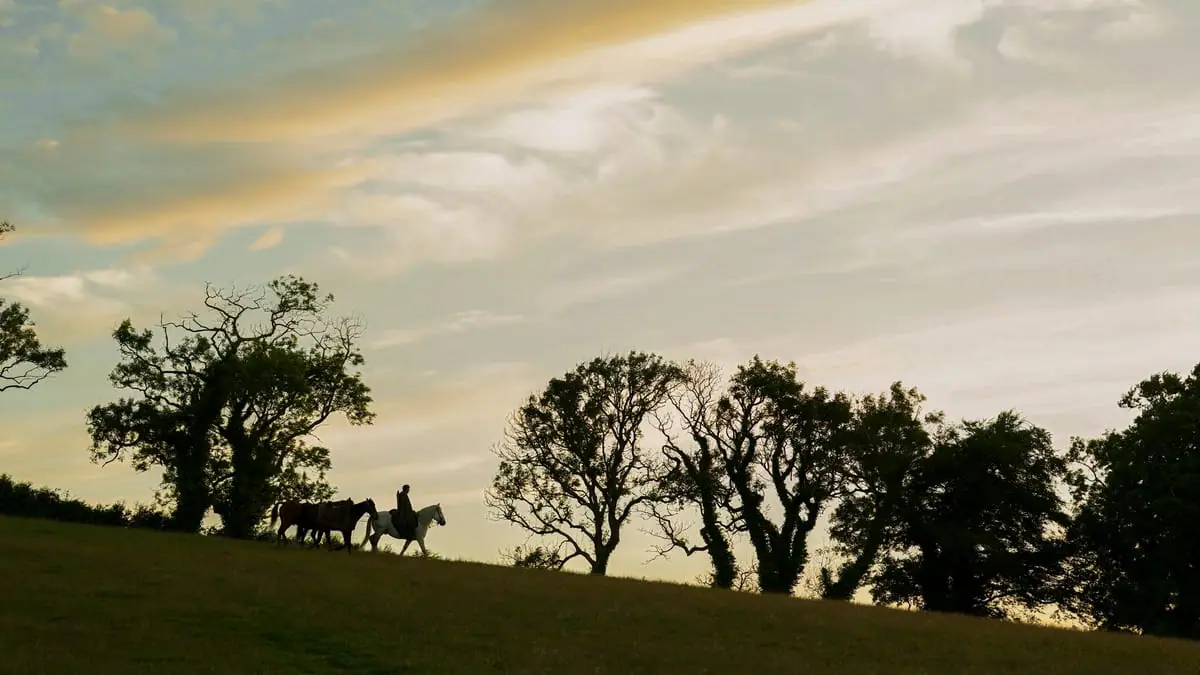 An epic wide shot of the titular hedge knight Ser Duncan the Tall riding his horse on a hill against the backdrop of a beautiful sunset in the HBO fantasy series A KNIGHT OF THE SEVEN KINGDOMS. 
