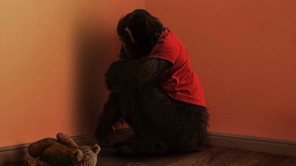 Ben the killer chimpanzee, wearing an orange shirt, sits creepily in the corner of his room with an old teddy bear lying next to him on the floor on the official poster for the horror movie PRIMATE.
