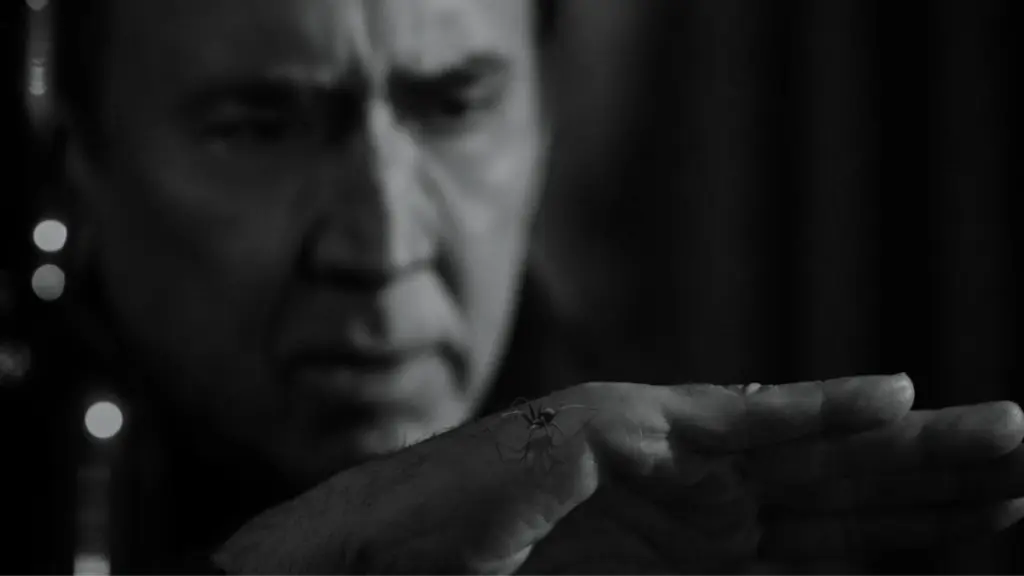 Nicolas Cage stars as private investigator Ben Reilly holding up a small black spider on his hand in the SPIDER-NOIR series on Prime Video.