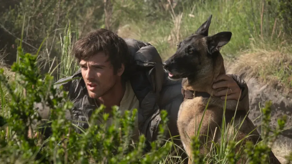 Jacob Elordi stars as the survivor Hig hiding out in tall grass with his loyal dog Jasper in the post-apocalyptic thriller THE DOG STARS. 